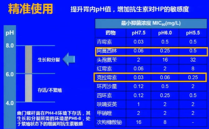 新澳内部一码精准公开_放松心情的绝佳选择_V87.17.04